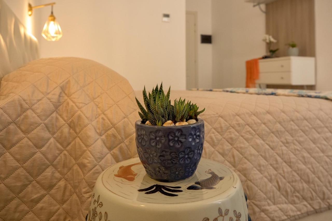 Salus Inn روما المظهر الخارجي الصورة